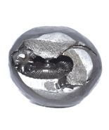 Rare Yoga Narasimha Shaligram - Gandaki River Nepal - $121.02