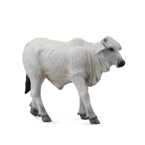 CollectA Brahman Calf Figure (Small) - Grey
