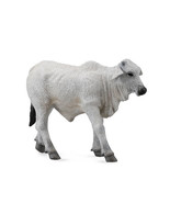 CollectA Brahman Calf Figure (Small) - Grey - £14.03 GBP