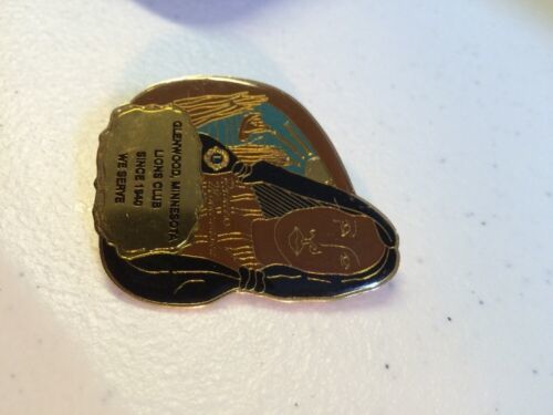 Glenwood MN since 1940 indian princess Minnewaska   LIONS CLUB PIN   - $4.99