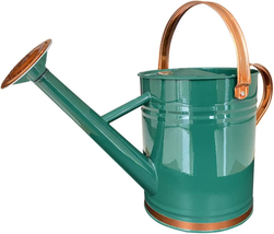 Metal Watering Can for Outdoor and Indoor Plants, Watering Can Decor, 1 ... - £21.52 GBP