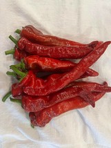 Txorixero - Sweet Kapia Pepper from the Basque Country - 5+ Seeds - Ca 080 - £1.55 GBP