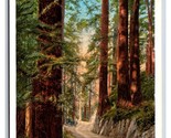 View on Redwood Highway California CA UNP WB Postcard Y9 - $3.91