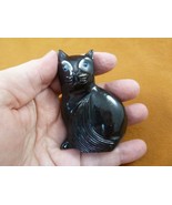(Y-CAT-305) Black Onyx KITTY baby kitten CAT stone figurine I Love Cats ... - $597.88 MXN