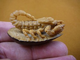 (tb-scorp-4) little tan scorpion Tagua NUT palm figurine Bali carving Sc... - £38.50 GBP