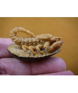 (tb-scorp-4) little tan scorpion Tagua NUT palm figurine Bali carving Sc... - £38.60 GBP