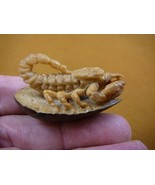 (tb-scorp-4) little tan scorpion Tagua NUT palm figurine Bali carving Sc... - $927.42 MXN