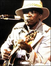 John Lee Hooker live onstage with Epiphone Sheraton Guitar 8 x 11 pin-up photo - £3.28 GBP