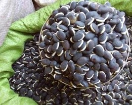 USA Seller 20 Black Njahi (beans) seeds Fast Shipping - $13.99