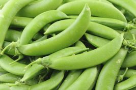 200 Seeds of Pea  Sugar Snap Vegetable seeds USA Grown - £20.48 GBP