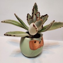 Owl Planter with Succulent, Panda Plant, Kalanchoe Tomentosa, Bird Plant Pot image 4