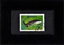 Framed Stamp Art - Collectible Postage Stamp - African Angelshark - $8.81