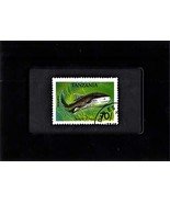 Framed Stamp Art - Collectible Postage Stamp - African Angelshark - $167.45 MXN