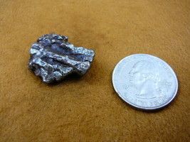 (x262-407) 12 g Campo del Cielo meteorite 1576 octahedrite fragment spec... - £22.38 GBP