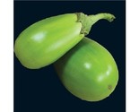 Sale 25 Seeds Applegreen Eggplant Green Fruit / Vegetable Solanum Melong... - $9.90