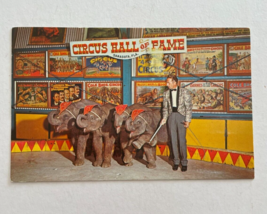 Circus Hall Of Fame Sarasota Florida Baby Elephants Postcard - £7.85 GBP