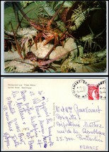 MARTINIQUE Postcard - Sainte Anne, Restaurant Les &quot;Filets Bleus&quot; FG - £2.36 GBP