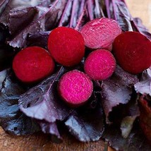 US Seller Bull&#39;s Blood Beet Seeds - £8.64 GBP