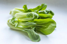 Pak Choi Chinese Cabbage 800+seeds (Brassica rapa)   - $7.76
