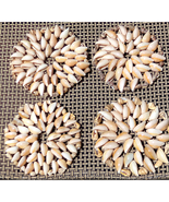 Cowrie Seashell Coasters 3.5 Inch Pack of 4 Coasters New Open Pack - $14.81 CAD