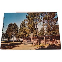 Postcard Pine Cone Motel At Sand River Michigan Chrome Unposted - £5.57 GBP