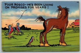 Comic Postcard Poor Rosco He's Been Living On Promises For Years  Tichnor Bros - $19.12
