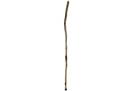 6ft Tall Thin Trekking Stick, We CAN SHORTEN, Crooked Rustic Finished Bu... - £135.42 GBP