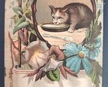 1880&#39;s-90&#39;s TC Brunner Grocers Linen Soap Cat Lapping Milk Morning Glori... - $21.99