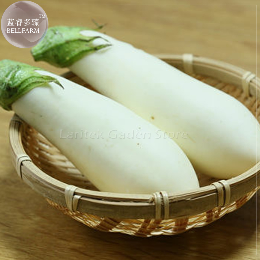 Asian White Eggplant Seeds 100 Seeds Pack Big Organic Vegetables E4082 Garden Fr