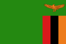 Zambia Flag - 12x18 Inch - £4.01 GBP