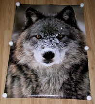 Wolf Poster Vintage Origin Unknown - £27.07 GBP