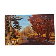 Postcard Greetings From Portage Wisconsin Autumn Leaves Fall Chrome Unposted - £5.51 GBP