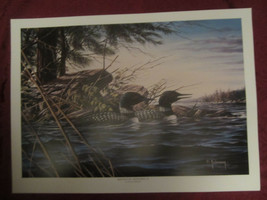 LOON wildlife art print MINNESOTA MEMORIES II - Dean Johnson - Unsigned - £9.44 GBP
