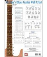 Blues Guitar Wall Chart by Corey Christiansen (2003, Book, Other) - £13.37 GBP