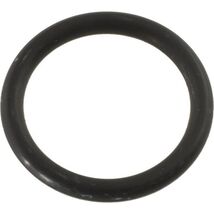 Waterway 805-0116EP Adapter O-Ring for ClearWater Cartri - $9.40