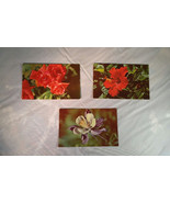 Vintage 1950s Set of 3 Three Flower Postcards Rose Hibiscus Columbine Mi... - $46.56 MXN