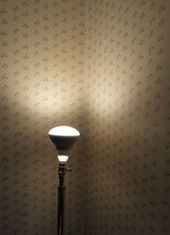 Indoor Flood Light Bulbs 65 Watt Soft White 2.7 Year Life 5 Bulbs - £10.06 GBP