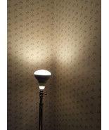 Indoor Flood Light Bulbs 65 Watt Soft White 2.7 Year Life 5 Bulbs - £9.90 GBP