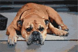 Pepita Needlepoint Canvas: Continental Bulldog, 12&quot; x 8&quot; - £67.48 GBP+
