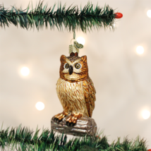 Old World Christmas Wise Old Owl Bird Wisdom Glass Christmas Ornament 16019 - £9.29 GBP