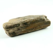 Petrified Wood Beam Fragment 1lb 2.4 oz 5" x 1.25" x 2.75” Stone Rock image 4