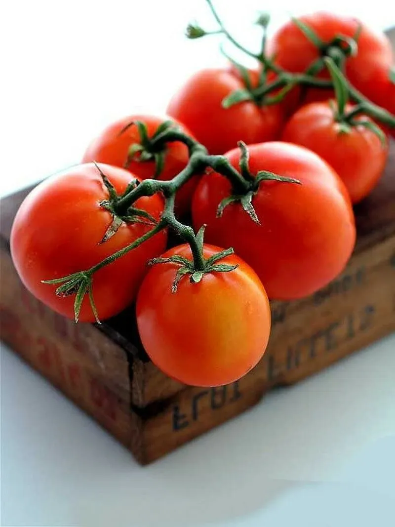 35 Seed Beefsteak Tomato Bush Type One Of The Largest Cultivars Rainbow ... - £14.08 GBP