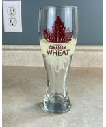 Molson Canadian 12 Fluid Oz  Wheat Maple Leaf Logo Draft Beer Glass   - €7,69 EUR