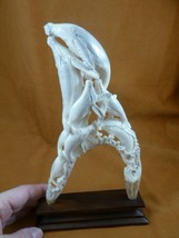 Whale-25 Humpback pod of 8 Whales of shed ANTLER figurine Bali detailed ... - £106.25 GBP