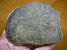 (DF378-12) 13 oz Fossil REAL DINOSAUR Bone cabbing slab lapidary I love ... - $78.53