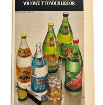 1977 Canada Dry Liquor Mixers Advertisement Distillery Tonic Water DWF15 - $373.69 MXN
