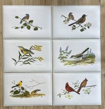 Vintage Chuck Ripper Placemats 1971 Songbirds American Set of 6 - £30.71 GBP