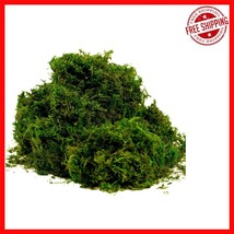 Fresh Green Faux Silk Moss - 8 oz Decorative Centerpieces for Crafts &amp; F... - $26.72