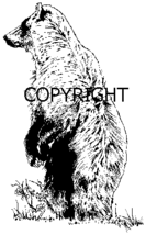 Standing Bear LEFT-NEW Release Mounted Rubber Stamp - $3.59