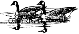 GEESE-NEW Release Mounted Rubber Stamp - $3.32